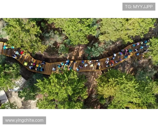 上葡京自助山:体验登山探险与自然生态的精彩结合