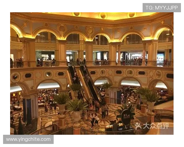 威尼斯人网站入口官方最新版本下载地址及详细操作指南介绍