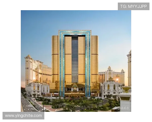 澳门贵宾厅尊享奢华体验,开启尊贵旅程的最佳选择