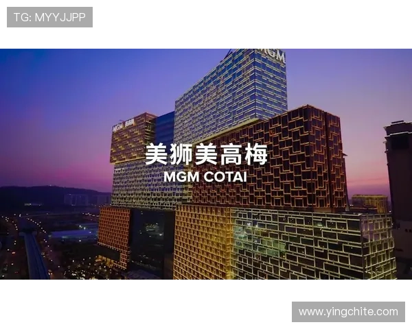 澳门美高梅app安全保障措施与用户隐私保护策略全面解析